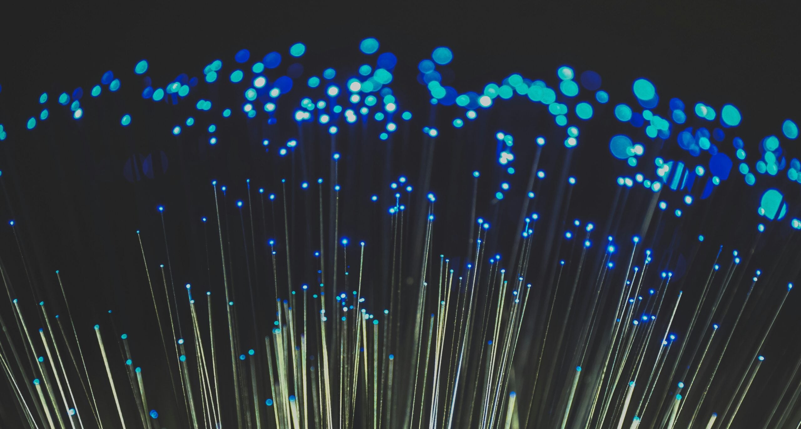 Fibre optic strands illustrating the EU Digital Networks Act framework for electronic communications networks